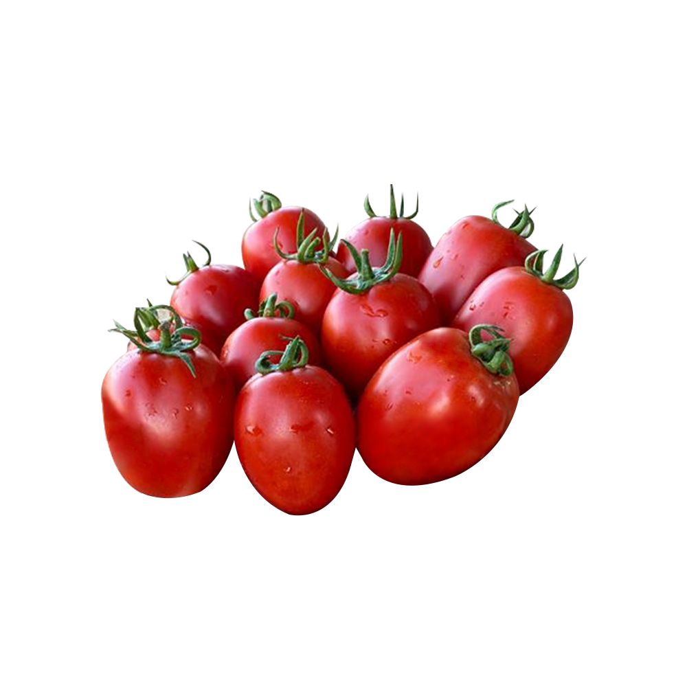 بذور  طماطم ليان  5000 بذره
